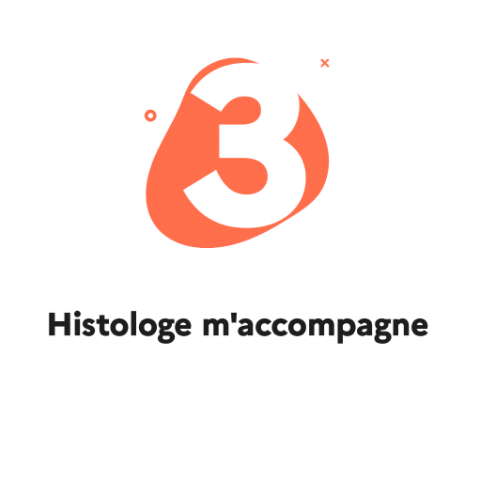 Histologe : Un outil simple pour identifier les situations de « mal logement » 