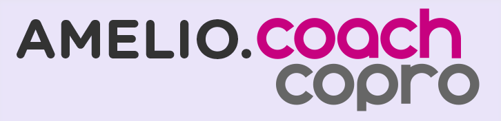 Dispositif d'accompagnement AMELIO Copro pour l'ensemble des copropriétés de la Métropole Européenne de Lille